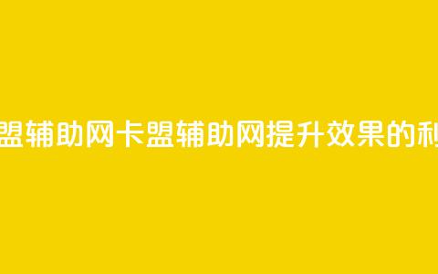 卡盟辅助网(卡盟辅助网：提升SEO效果的利器) 第1张